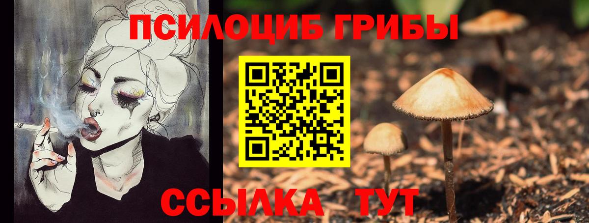 Псилоцибиновые грибы Magic Shrooms  что такое   Вход с VPN  Луга  Галлюциногенные грибы Magic Shrooms 